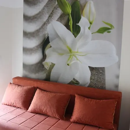 Amfora Apartment